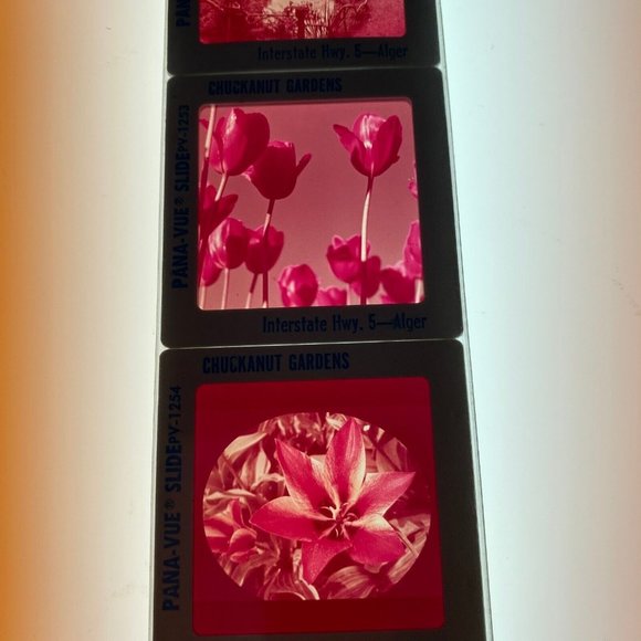 Vintage GAF Pana-Vue Slides Chuckanut Gardens Alger Washington Lot of 5 PV125 - Picture 9 of 10